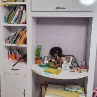 کتابخانه و قفسه دیواری