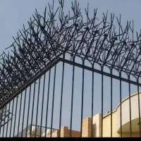162-متر-زمین-پلاک-چهارم-خیابان-رباط