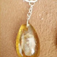 سر کلیدی مفت  حشرات واقعی