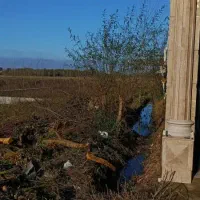 فروش-زمین-250-متری-خوش-نقشه-در-محله-بالاکویخ