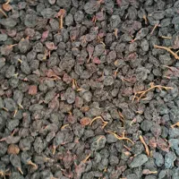 کشمش و مویز