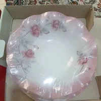 ظروف پذیرایی رویال اوپال