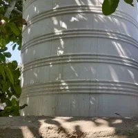 باغچه دیوار با نامه / درخت قدیمی/سهم اب