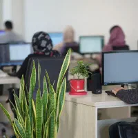 سئو و طراحی سایت ( سازگار با اینترنت ملی )