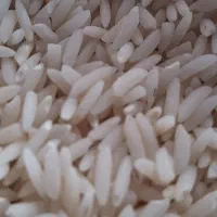 برنج هاشمی 480000