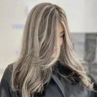 مدل لایت