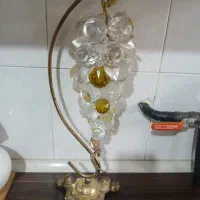 انگور تزئینی