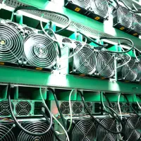 صفر تا صد فارم ماینینگتان را به ما بسپارید