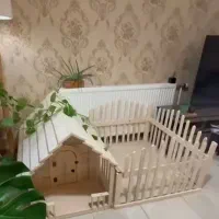 خانه سگ و گربه انواع پرنده حیوانات|لوازم جانبی حیوانات|گرگان, |دیوار