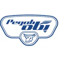 ویزیتور و سرپرست فروش برای جهرم