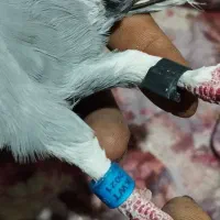 گرفتنی،مسابقات مسافتی|پرنده|مشهد, پادگان شهید برونسی|دیوار