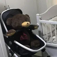 کالسکه و کریر