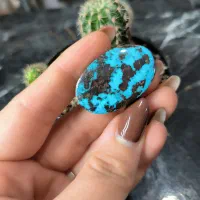 فیروزه خوشرنگ