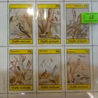 تمبر خارجی مهر نخورده|کلکسیون سکه، تمبر، اسکناس|قزوین, |دیوار