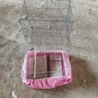 معاوضه قفس قناری با طوقی