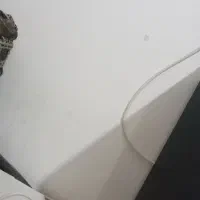 نظافت با وایتکس