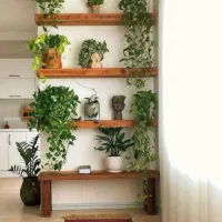 شلف چوب دیوار|کتابخانه، شلف، قفسههای دیواری|محمدشهر, محمدشهر|دیوار