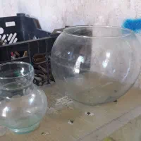 آکواریوم و وسایل فروشی.|ماهی|فسا, |دیوار