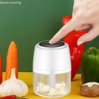 خردکن شارژی|خردکن، آسیاب، غذاساز|تهران, شوش (باغ آذری)|دیوار