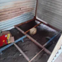 کانکس نگهبانی