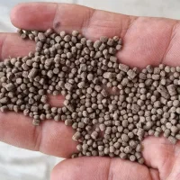 غذای روابی ماهی گرمابی کپوروآمورآکواریوم سگ گربه