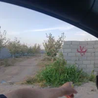 زمین532ویلایی-جهت-ساخت-باغات-گلخانه-فردوسی