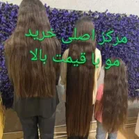 خریداراصلی مو