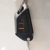 ریموت سوییچ پژویی