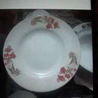 شش عدد ملامین پلو خوری نو
