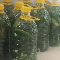 خیار شور خوشمزه