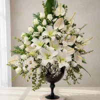 تحویل سفارشات زیر یکساعت/باکس گل/جام گل/تاج گل