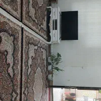 فرش در حد نو