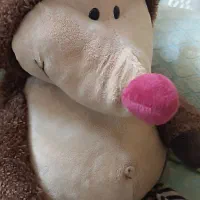 جوجه تیغی (عروسک خارجی)|اسباب‌‌بازی|مشهد, تربیت (صدف)|دیوار