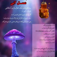 رهایی از افسردگی، اضطراب، اعتیاد با قارچ
