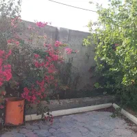 اجاره خونه باغ|اجارهٔ کوتاه‌مدت ویلا و باغ|بهبهان, |دیوار