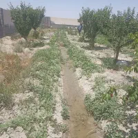 زمین دور دیوار داخل مجتمع واقع در شاهنامه 76
