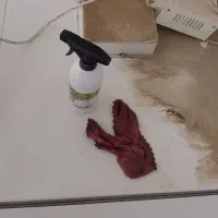 فروش اسپری چربی زدا پاک پاش