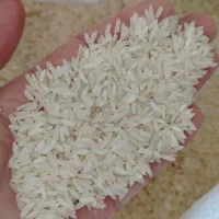 برنج تایلندی