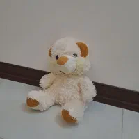 عروسک|اسباب‌‌بازی|نیشابور, سرآب کوشک|دیوار