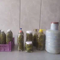 خیار شور خانگی