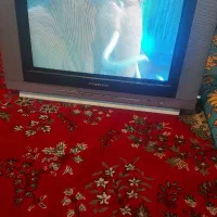 تلویزیون ۲۱سالم سالم هست|تلویزیون و پروژکتور|کرمان, |دیوار