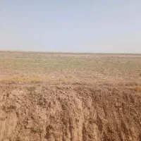 زمین کشاورزی در کرسف