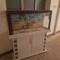 آکواریوم فروش فوری