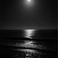 فروشنده پوشاک زنانه