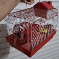 قفس پرنده و همستر