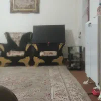 تلویزیون