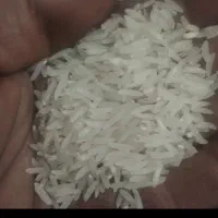 برنج فجر سوزنی