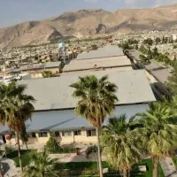 حسابدار خانم