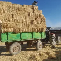 تریلی تراکتور سیبکی در حد صفر