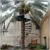 برش نخل**قطع نخل**درخت درتمام نقاط استان